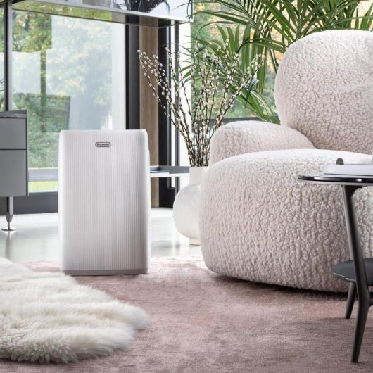 Deshumidificador De'Longhi AriaDry Start 10 l 175 W Blanco