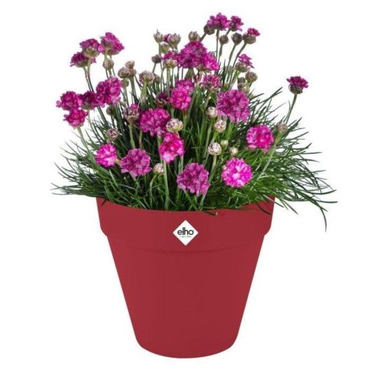 Elho Loft Urban Maceta Ronda Roja Ø 28,5 x 26 cm Plástico Reciclado