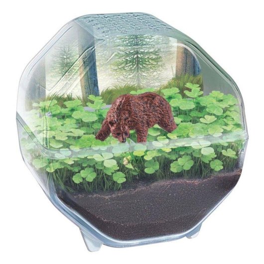 Kit Mini-Terrarium Bär Clementoni - Transparenter Behälter, Samen, Illustriertes Handbuch