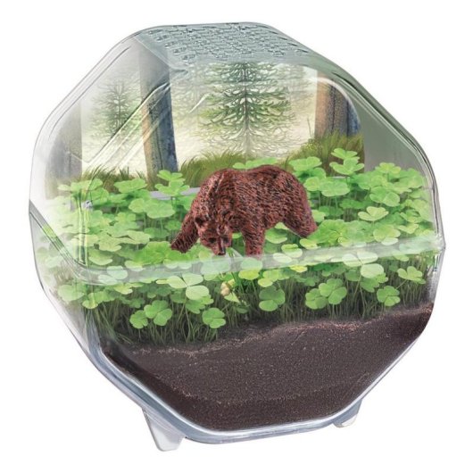 Kit Mini-Terrarium Bär Clementoni - Transparenter Behälter, Samen, Illustriertes Handbuch