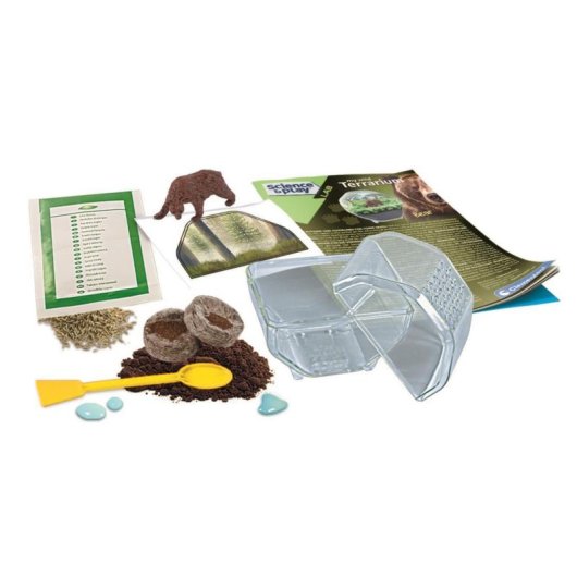 Kit Mini-Terrarium Bär Clementoni - Transparenter Behälter, Samen, Illustriertes Handbuch