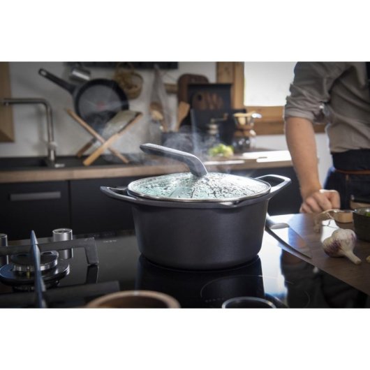 Casserola Tefal Robusto E24946 24 cm Aluminio Forjado Antiaderente Titânio