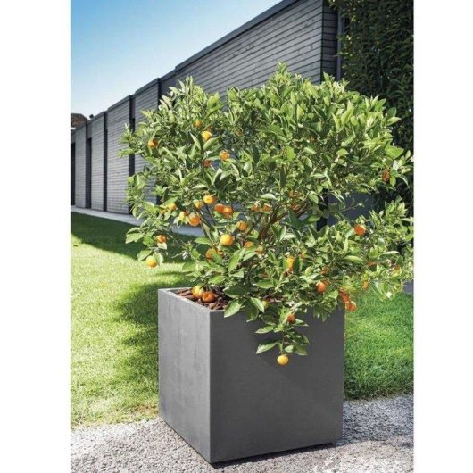 Bac Cubique Deroma Cube Millennium R Antracite 49 cm 80 L Double Paroi