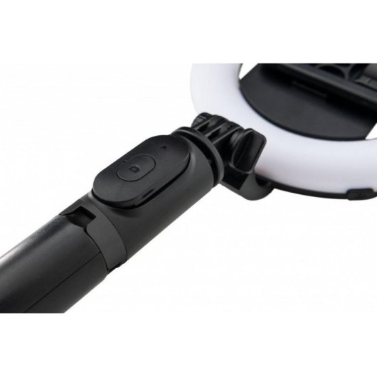 Anello Luminoso Mackie MRING-6 con Treppiede e Regolazione Colore