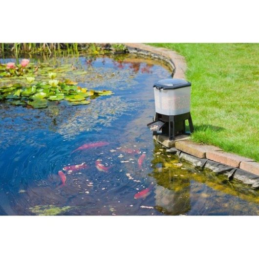 Alimentatore solare per stagni Ubbink 6L automatico con timer copertura 1-3m e pannello LCD