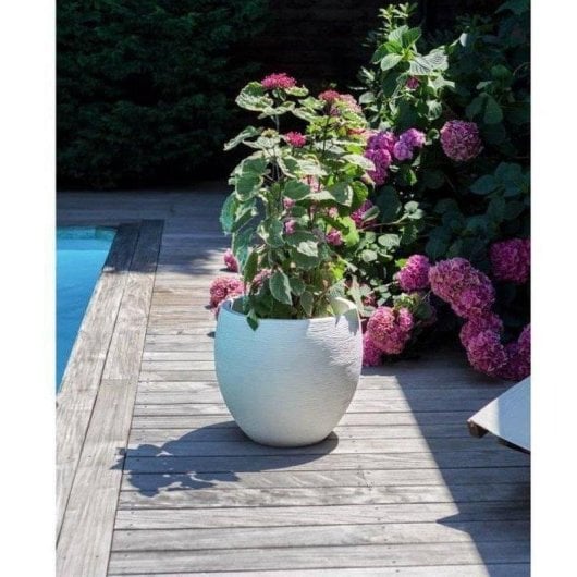 Macérier EDA Egg Graphit Ø50 cm 46 L Double Paroi Polypropylène Blanc Mate