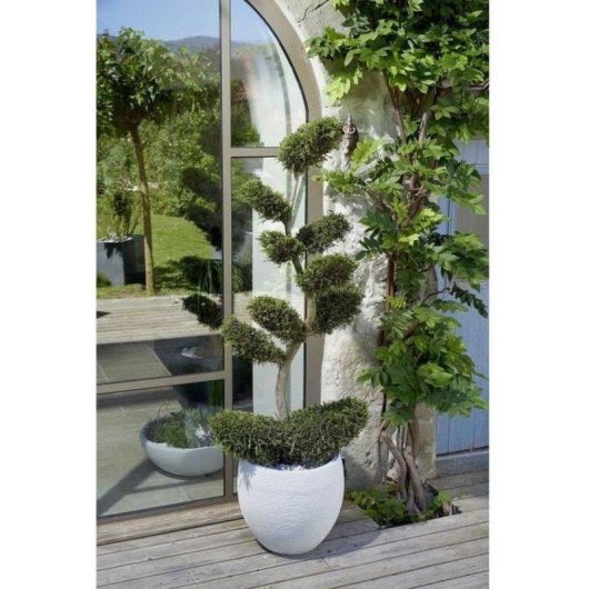 Macérier EDA Egg Graphit Ø50 cm 46 L Double Paroi Polypropylène Blanc Mate
