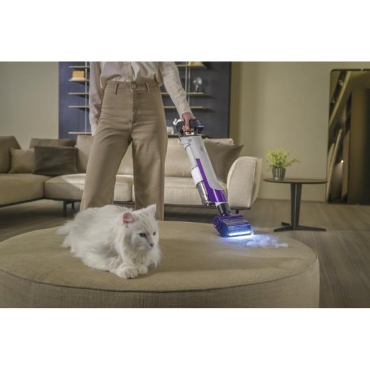Aspiradora sin Bolsa Hoover HF202P 011 165W 80 min Turbo EPA Púrpura