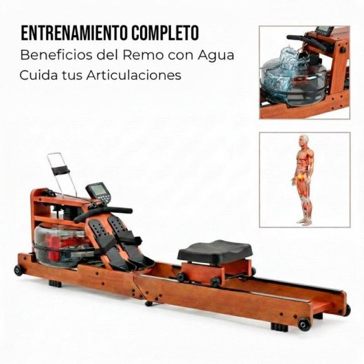 Rameur à Eau en Bois Massif Pliable - Clover Fitness