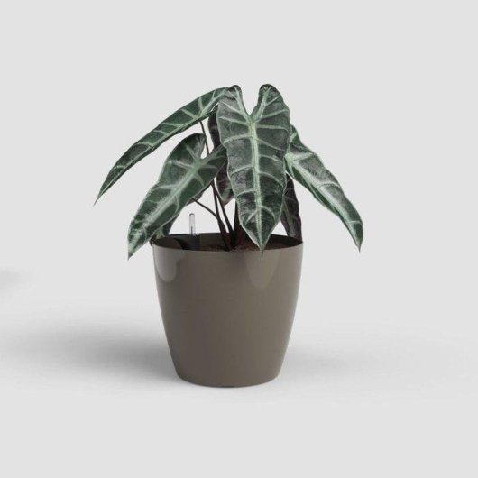 Jardinière Artevasi San Remo 42 cm avec Arrosage Autonome SWS Taupe