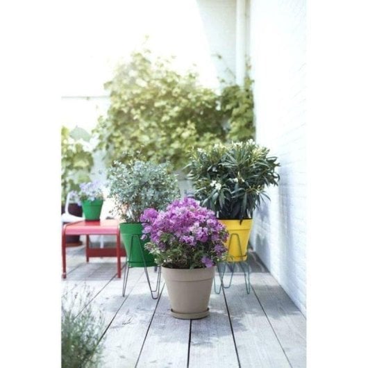 Vaso Elho Loft Urban 25 Plastica Riciclata Serbatoio Acqua