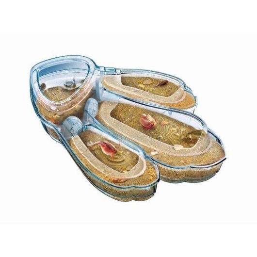 Kit de science Clementoni Triops Science & Play avec mini aquarium et loupe