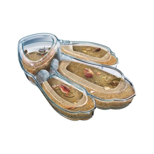 Kit de science Clementoni Triops Science & Play avec mini aquarium et loupe