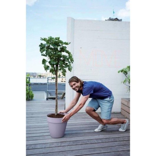 Vaso da giardino Elho Loft Urban viola auto-irrigazione Ø 28,5 cm 100% plastica riciclata