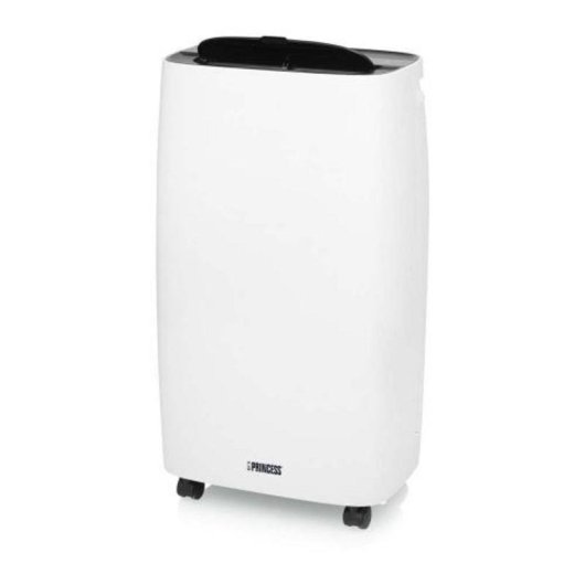 Ventoinha de Sobremesa Princess 205W 2 Velocidades Temporizador Automático Display Asa 10L