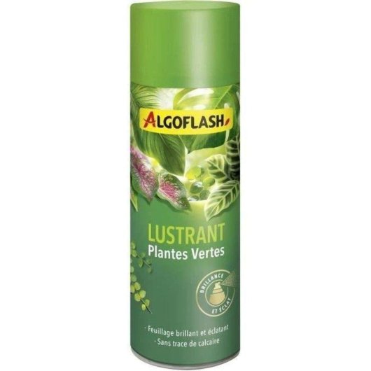 Reinigungs- und Glanzspray Algoflash 250 ml für Zimmerpflanzen