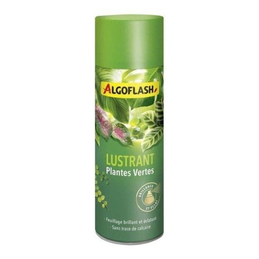 Reinigungs- und Glanzspray Algoflash 250 ml für Zimmerpflanzen