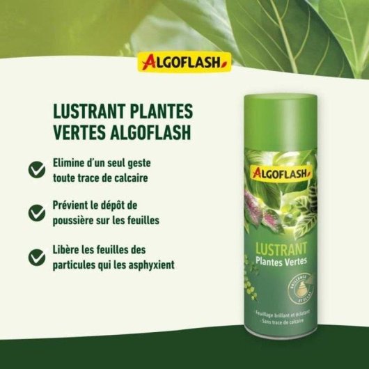 Reinigungs- und Glanzspray Algoflash 250 ml für Zimmerpflanzen