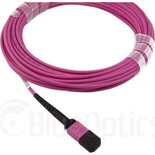 Cable Fibra Optique BlueOptics OM4 Multimode MPO/MPO 12 Fibres 2 m