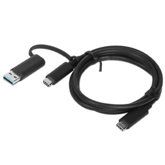 Câble Lenovo USB-C vers USB-C 2 m 10 Gbit/s avec adaptateur USB-A Noir