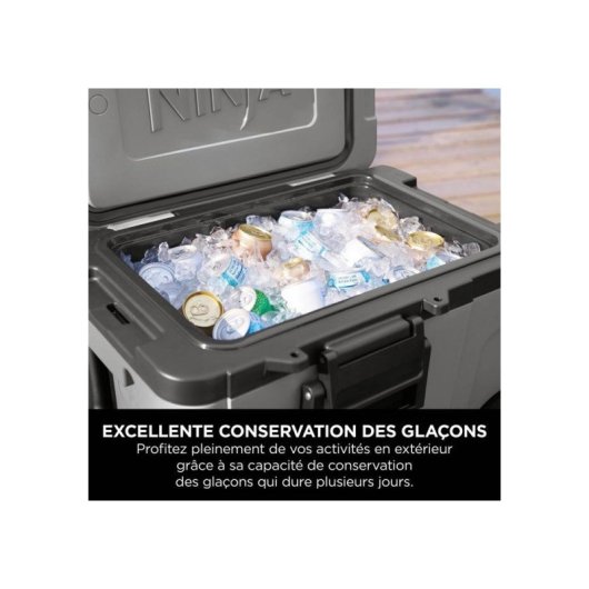 Ninja Frostvault Fb245eugy Nevera/conservadora Con Ruedas 42 L Y Dry Zone, Zona Refrigerada Para Mantener Alimentos Fríos Y Secos, Gris Ardoise, Tapa Con Cierre