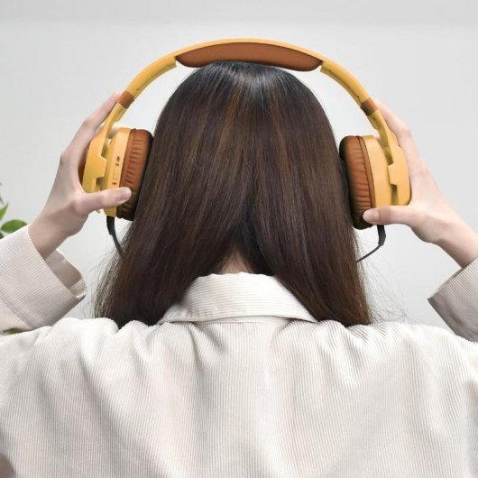 Casque HORI NSX-179E filaire pour Nintendo Switch, micro et contrôle volume, marron