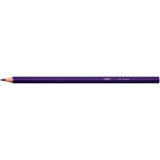 Buntstifte BIC Color Up 24-teilig multicolor