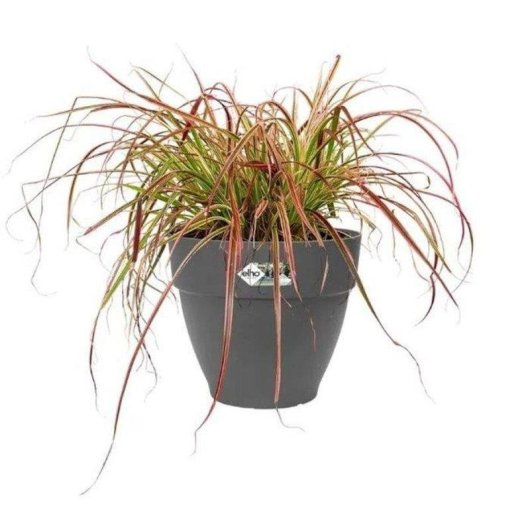 Jardinière Elho Vibia Campana Rond 55 cm Antracite