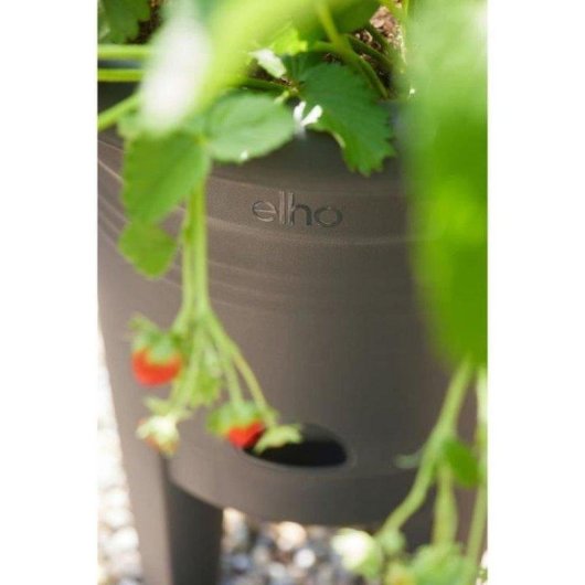 Vaso para Morangos Elho Green Basics 33 cm Negro Reciclado