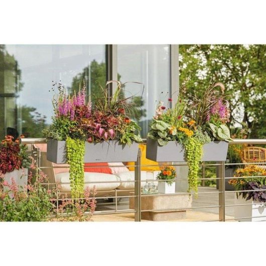Jardinera LECHUZA Balconera Stone 80 Autorregulável 12 L Cinza