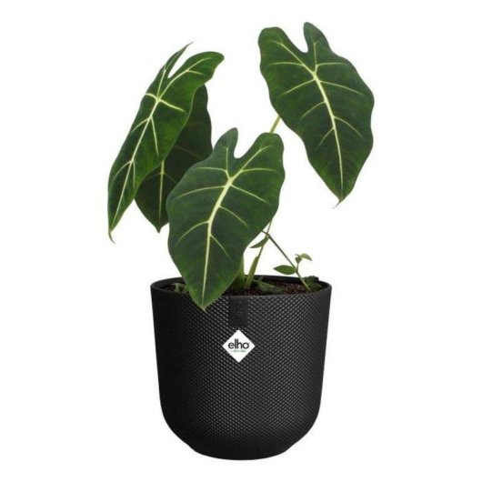 Vaso da interno Elho Jazz Rond Nero Ø26 H24 100% plastica riciclata