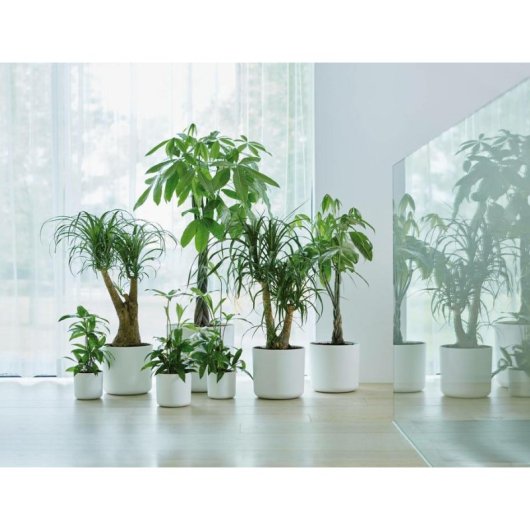 Vaso da Interno Elho B.for Soft Round 30 cm Verde Foglia Plastica Riciclata