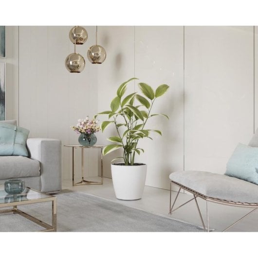 Vaso Artevasi San Remo 42 BR Branco Brilho Interior/Exterior Pack 2