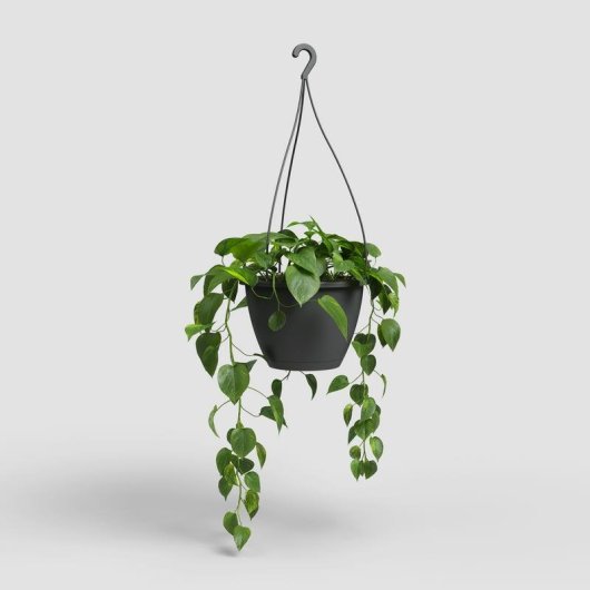 Vaso Sospeso Artevasi Algarve 8 L Grigio Antracite Opaco 31x31x20,5 cm
