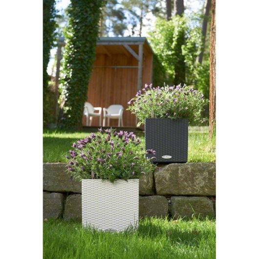 Macetero LECHUZA Cube Cottage 30 Autorriego Granito Gris 30x30x30 cm