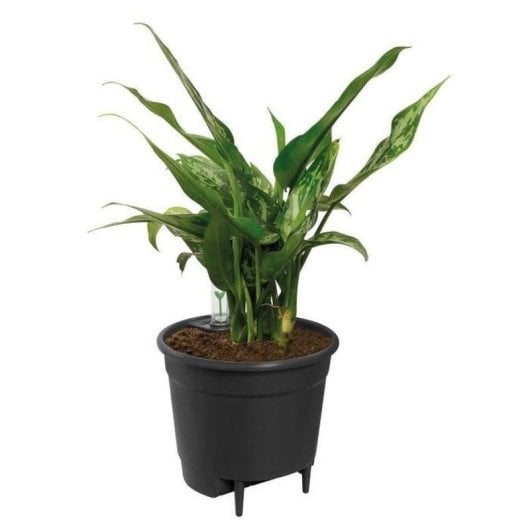 Inserto Autoannaffiante Elho Ø33 cm Nero per Vasi d'Interno - Plastica 100% Riciclata