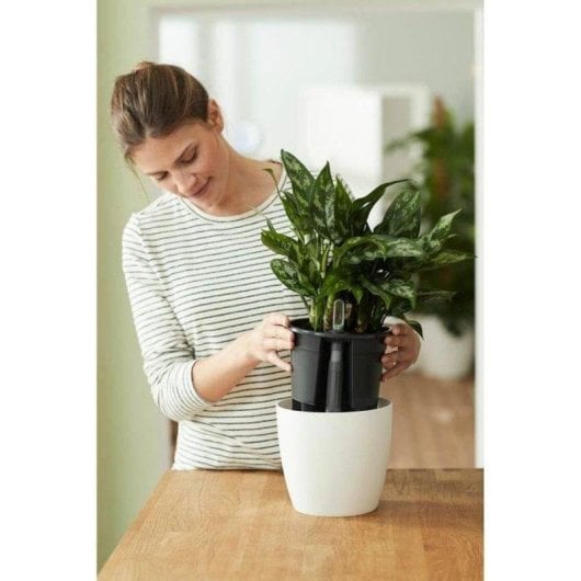 Inserto Autoannaffiante Elho Ø33 cm Nero per Vasi d'Interno - Plastica 100% Riciclata