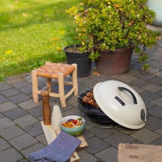 Barbecue à Charbon Portable Livoo DOC301 Ø34 cm Acier Émaillé