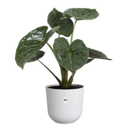 Vaso da interno Elho Jazz Rond 35x34,5x32 cm bianco opaco texture rombi riciclato impermeabile