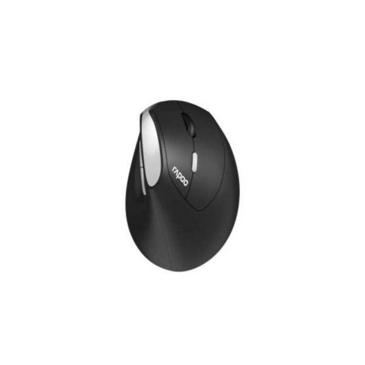 Ratón Rapoo EV250 RF sans fil 1600 DPI Noir Argent droitier