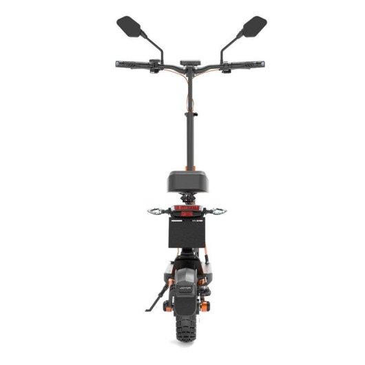 Elektroroller Joyor S8e 800W Reichweite 80km 10" Reifen Scheibenbremse