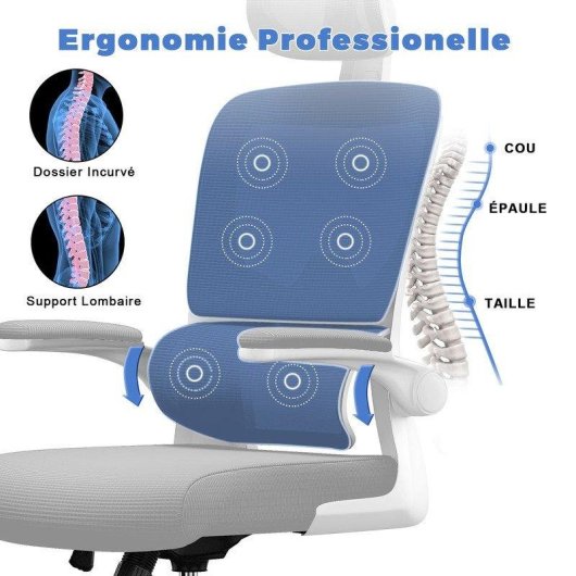 Chaise de bureau ergonomique Naspaluro avec accoudoirs rabat 90° et soutien lombaire gris