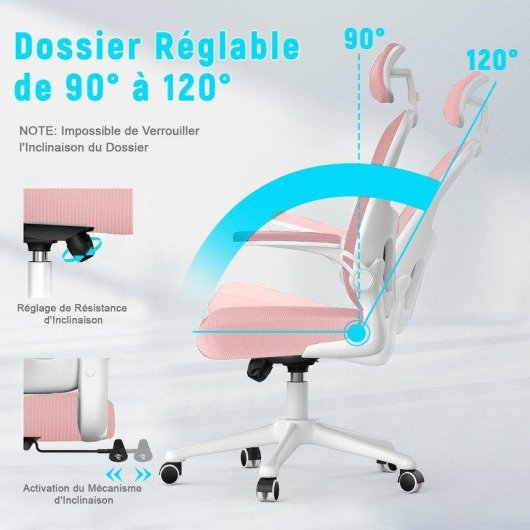 Chaise de bureau Naspaluro Ergonomique Rosa 2D
