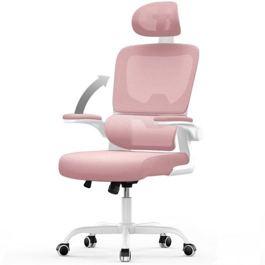 Chaise de Bureau Ergonomique Naspaluro Reposabrazos Pliable 90° Support Lombaire Réglable Hauteur Rose