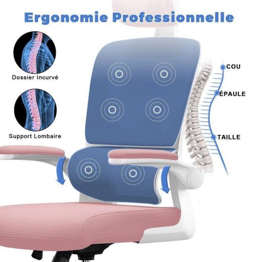 Chaise de Bureau Ergonomique Naspaluro Reposabrazos Pliable 90° Support Lombaire Réglable Hauteur Rose