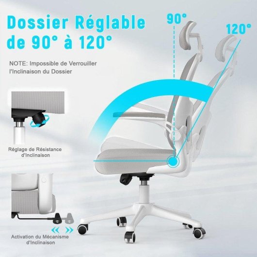 Chaise de bureau Naspaluro Ergonomique Gris Reglable