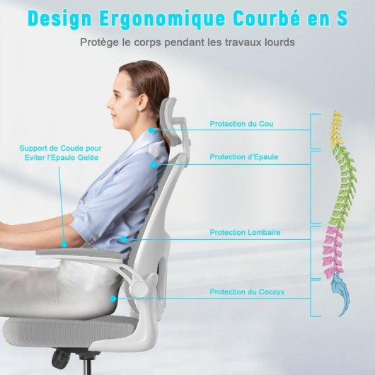Chaise de bureau Naspaluro Ergonomique Gris Reglable