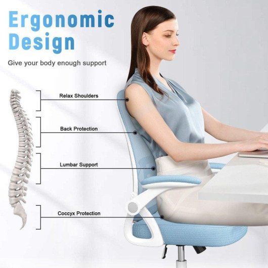 Chaise de Bureau Ergonomique Naspaluro avec Repos Tête Ajustable et Support Lombaire - Bleu