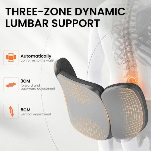 Chaise de Bureau Ergonomique Naspaluro avec Support Lombaire Ajustable