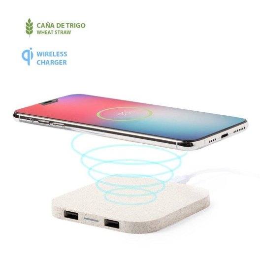 Dam Electronics Riens Qi kabellos ladestation Weizenstroh Doppel USB